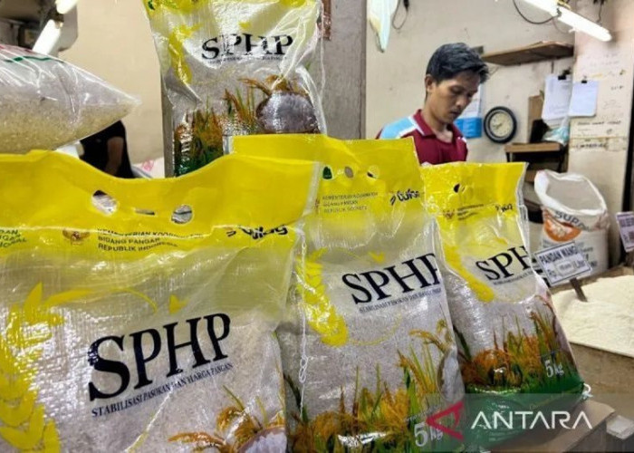 Mulai Maret Hingga Akhir Tahun, Pemerintah Distribusi Beras SPHP 2026