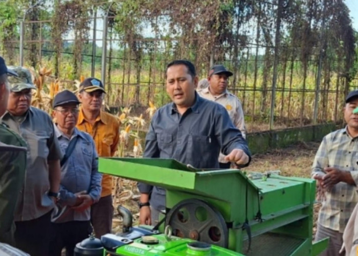 Bupati M. Syukur Gagas Lahan Pertanian Jadi Sarana Edukasi: Anak Sekolah Harus Tahu Cara Bertani