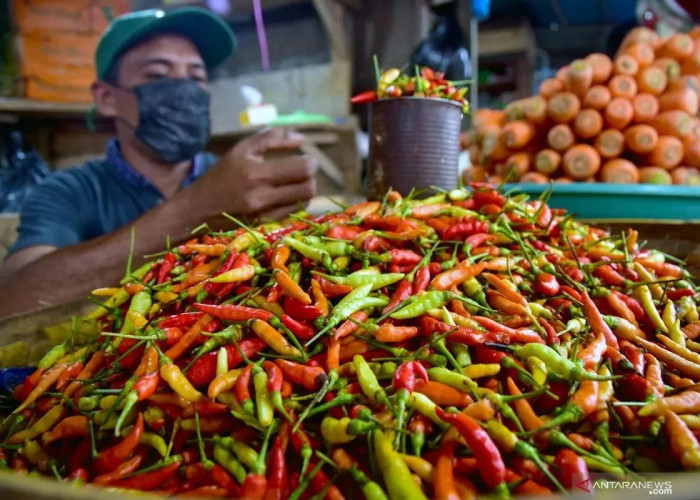 Harga Cabai Rawit pada Minggu Rp91.100/kg, Bawang Merah Rp39.550/kg