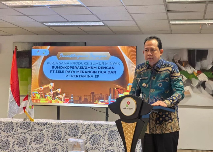 Pemkab Muaro Jambi Bidik Tambahan PAD, BUMD Disiapkan Kelola Sumira