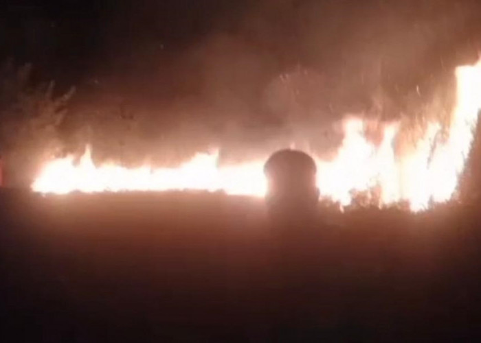 Karhutla Kembali Terjadi, Lima Hektare Lahan di Kumpeh Terbakar