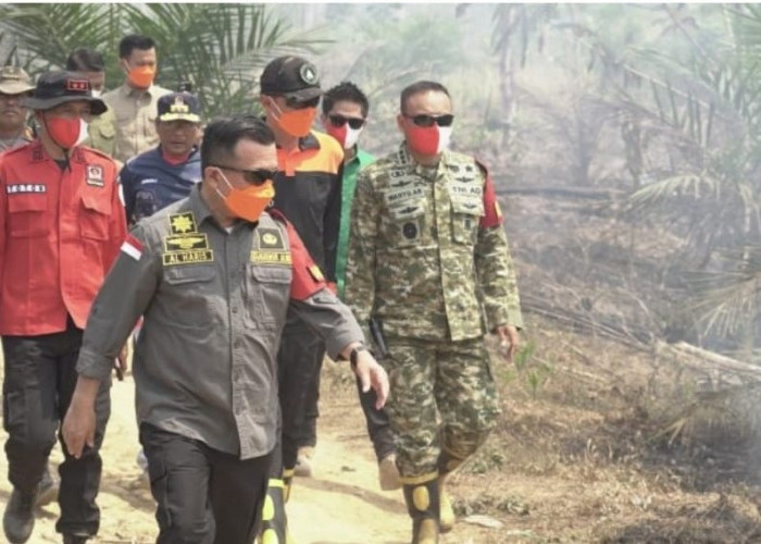 Gubernur Al Haris Pantau Karhutla Tahura di Batang Hari, Dua Waterbombing Disiapkan