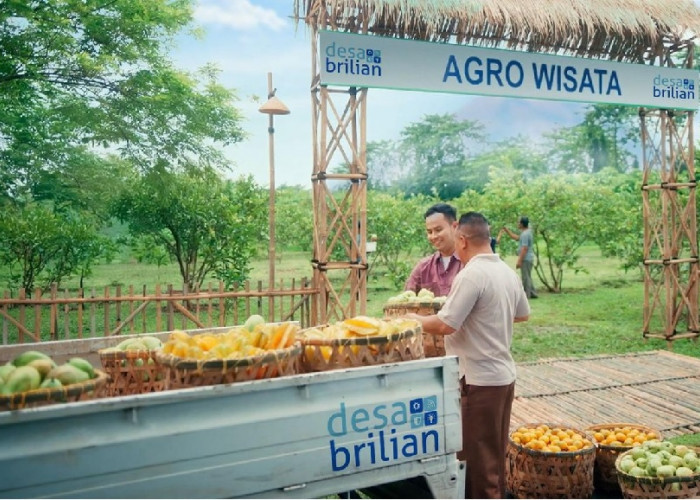 BRI Resmikan Kick-Off Desa BRILiaN 2026 untuk Dorong Transformasi Desa 5.0