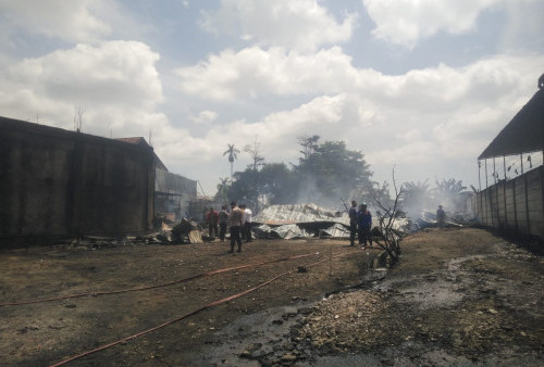 Kerugian Akibat Kebakaran Gudang Minyak di Kenali Besar Ditaksir Mencapai Ratusan Juta Rupiah