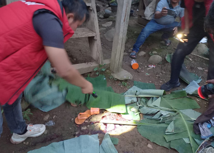 Suami Aniaya Istri hingga Tewas di Kebun Kopi, Pelaku Meninggal Usai Coba Bunuh Diri