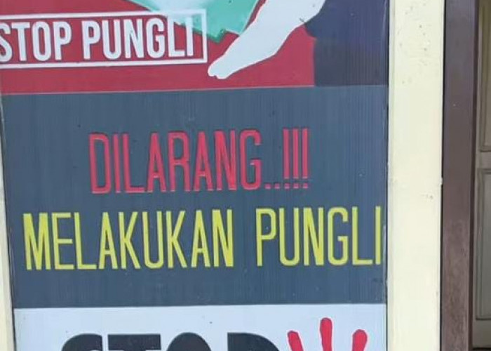 Video Dugaan Pungli Oknum Polisi di Jambi Viral, Polda Lakukan Pemeriksaan