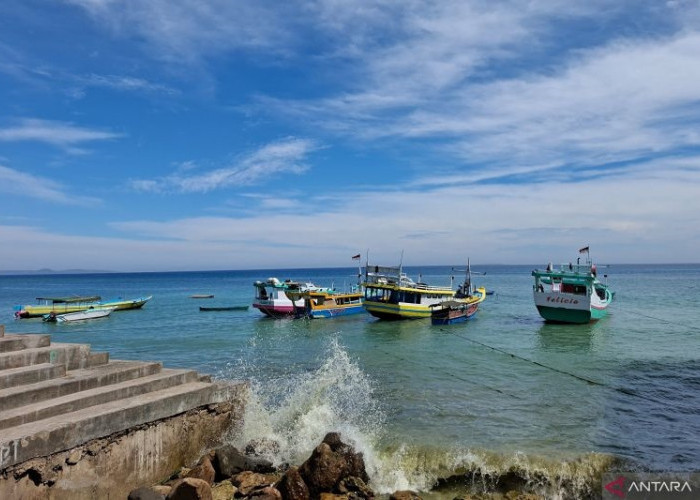 Peringatan BMKG, Waspadai Gelombang hingga 4 Meter di Perairan Sumbar 