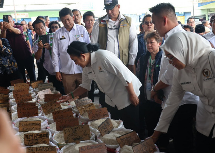 Produksi Padi 2026 Naik, Ketersediaan Beras Nasional Dipastikan Aman dan Melimpah