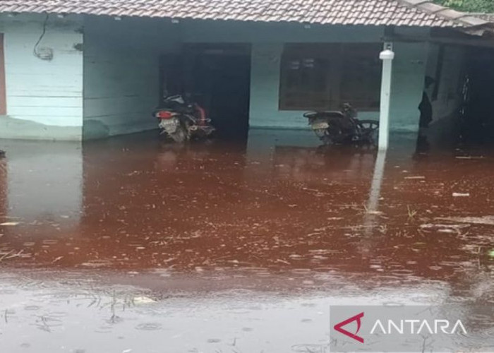 Perusahaan HTI di Jambi Turunkan Alat Berat Bantu Korban Banjir