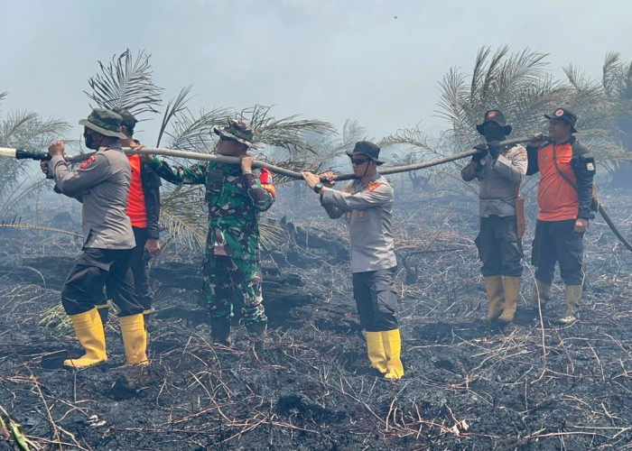 Puluhan Hektar Lahan di Sungai Gelam Terbakar, Kapolres Turun Langsung ke Lokasi