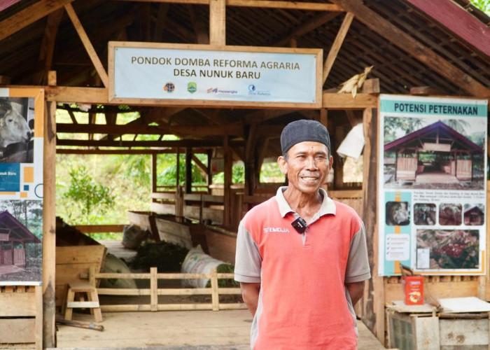Reforma Agraria Buka Akses Warga Desa Nunuk Baru untuk Jalankan Usaha Ternak Domba