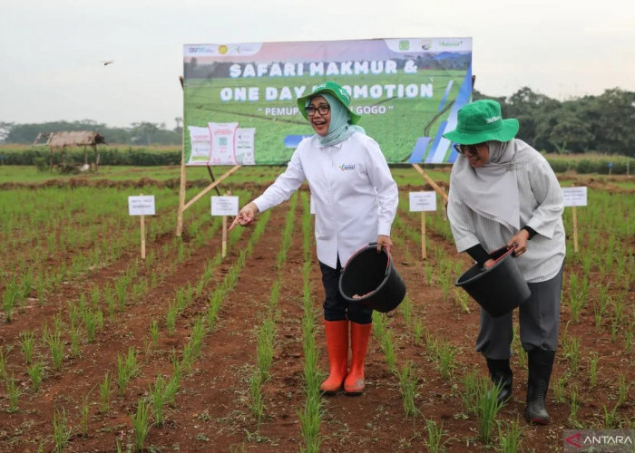 Pupuk Indonesia Berikan Pendampingan Tingkatkan Kesejahteraan Petani