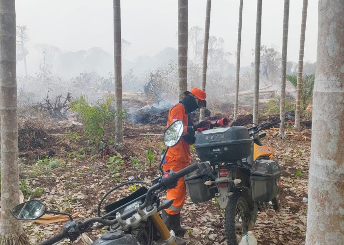 Susuri Medan Sulit, BPBD Tanjabtim Andalkan 24 Motor Bantuan Presiden untuk Padamkan Karhutla