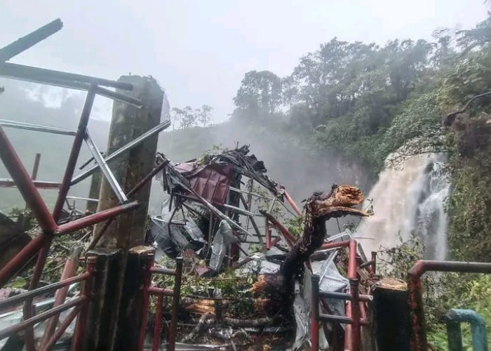 Longsor dan Pohon Tumbang di Air Terjun Telun Berasap Kayu Aro 