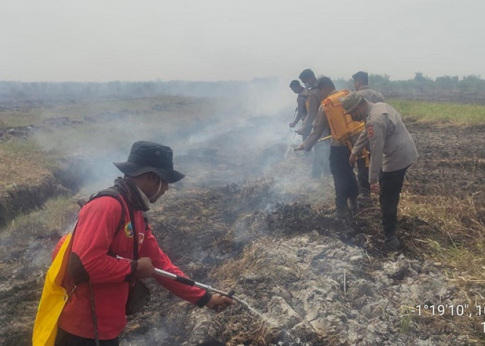 Polda Jambi Cek dan Tangani Karhutla di Sungai Aur, Luas Lahan Terbakar Capai 20 Hektare