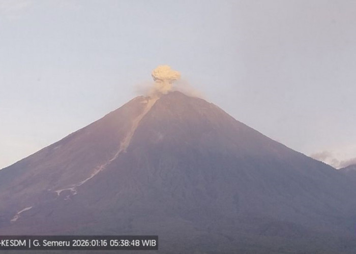 6 Jam, Gunung Semeru Alami 23 Kali Gempa Letusan