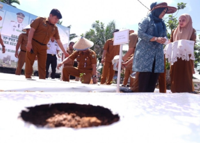 Pj Bupati Muaro Jambi Ikut Gertam Cabai