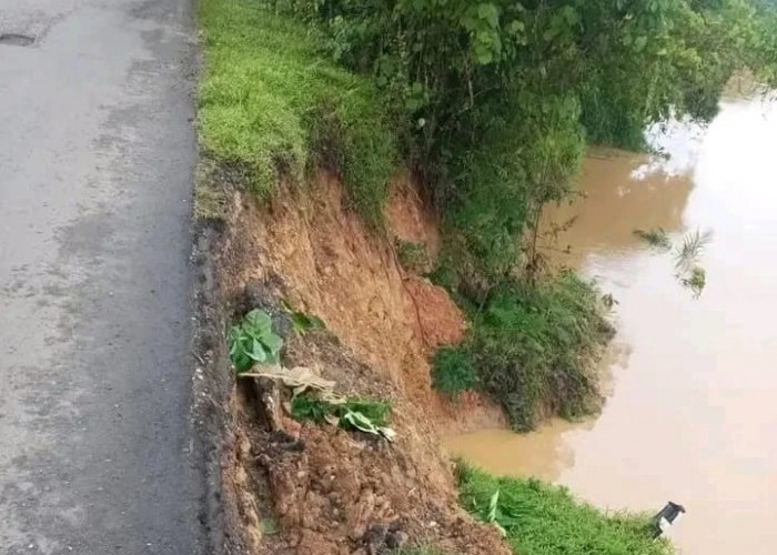 Curah Hujan Tinggi, Ruas Jalan Nasional Sarolangun- Jambi Terancam Putus