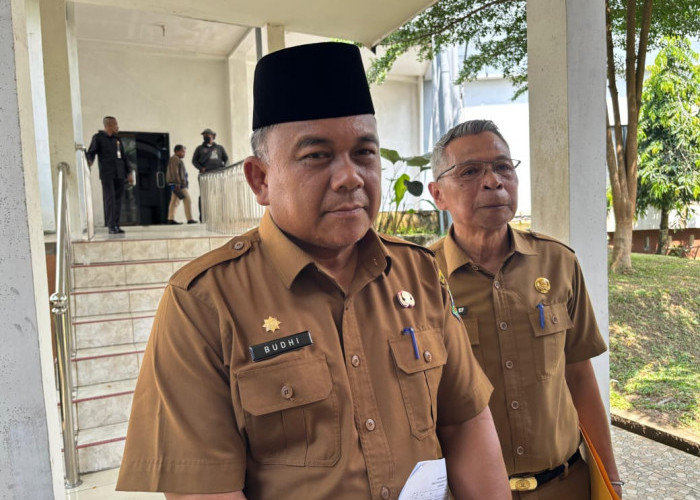 Anggaran Menyusut, Pemkab Muaro Jambi Kembalikan Mobil Dinas Berstatus Sewa 