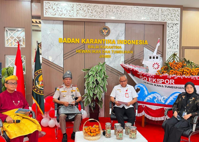 Ekspor Pinang Jambi Tembus Rp1,3 Triliun, Barantin Bantu UMKM Masuk Pasar Global