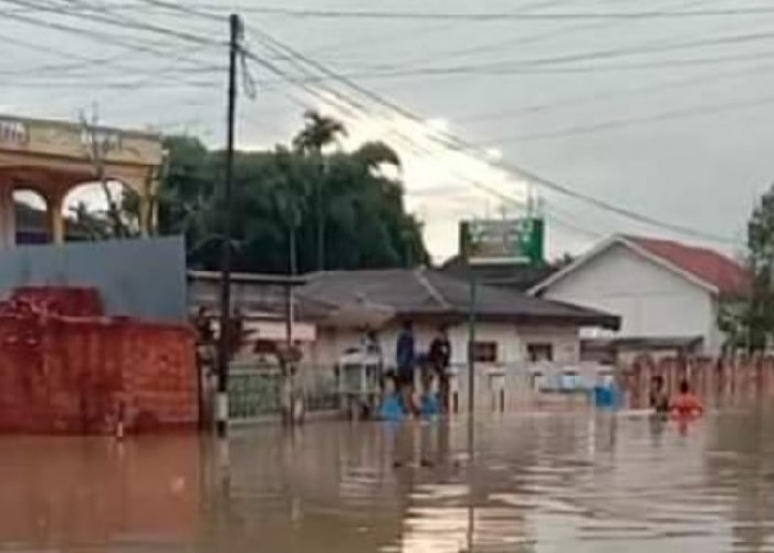 Enam Kecamatan di Tebo Terendam Banjir