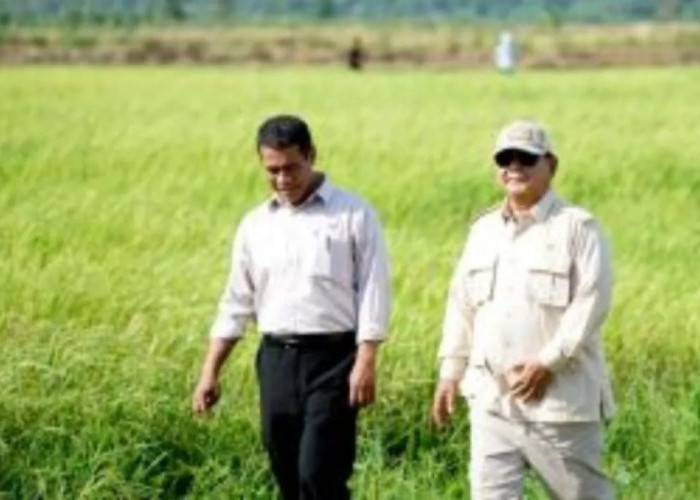 Bank Indonesia: Sektor Pertanian Berperan Jadi Tulang Punggung Ekonomi