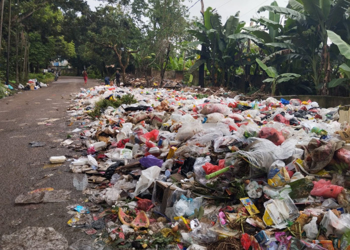 Hapus TPS di Jalur Protokol, Warga Diminta Pilah Sampah dari Rumah