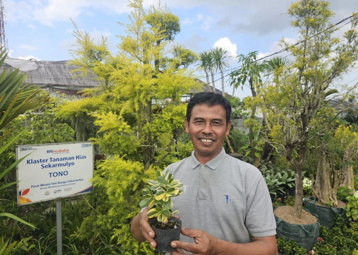 Sukses Jadi Mata Pencaharian Warga Sekitar, Ini Kisah Klaster Usaha Tanaman Hias Binaan BRI 