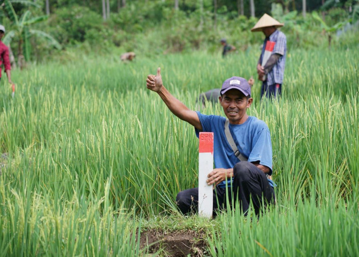 Simak Tips untuk Menjaga Tanah Agar Tidak Diserobot Orang Lain