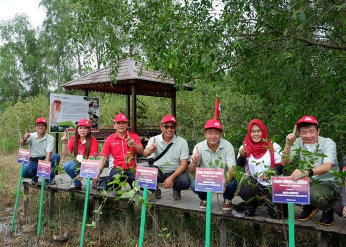 Lestarikan Habitat Bekantan, Yayasan AHM Tanam Seribu Mangrove Rambai    