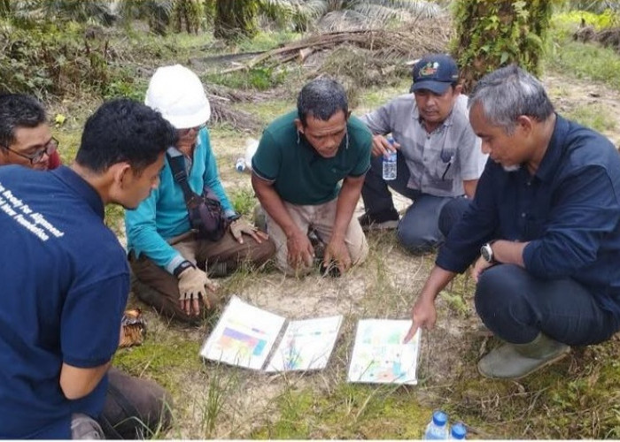 Region Head Regional IV Regional 4 Jambi Khayamuddin Panjaitan Kunjungan Kerja ke Unit Usaha Tanjung Lebar