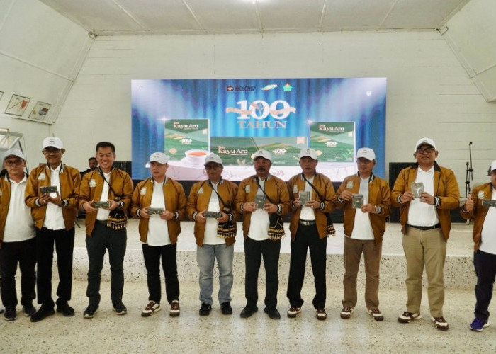 Menatap Abad Kedua Teh Kayu Aro