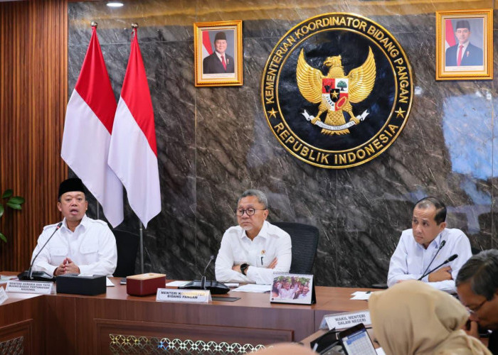 Dukung Ketahanan Pangan, Pemerintah Akan Tetapkan Lahan Sawah yang Dilindungi di 12 Provinsi