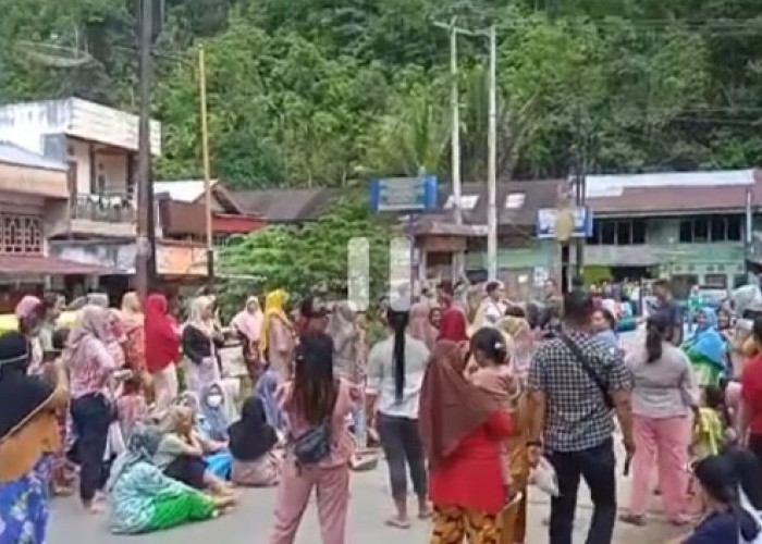 BREAKING NEWS: Jalan Kerinci-Bangko di Muaro Emat Diblokir Warga, Minta Kades Mundur