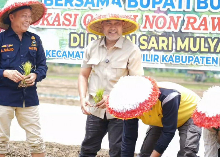 Perkuat Ketahanan Pangan, Bupati Dedy Putra Dorong Inovasi Padi Nutrizing
