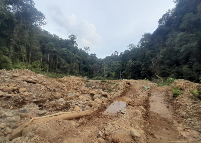 Alat PETI Dimusnahkan, Pelaku Menghilang 