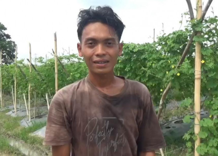 Harga Pare Anjlok, Petani di Muaro Jambi Menjerit