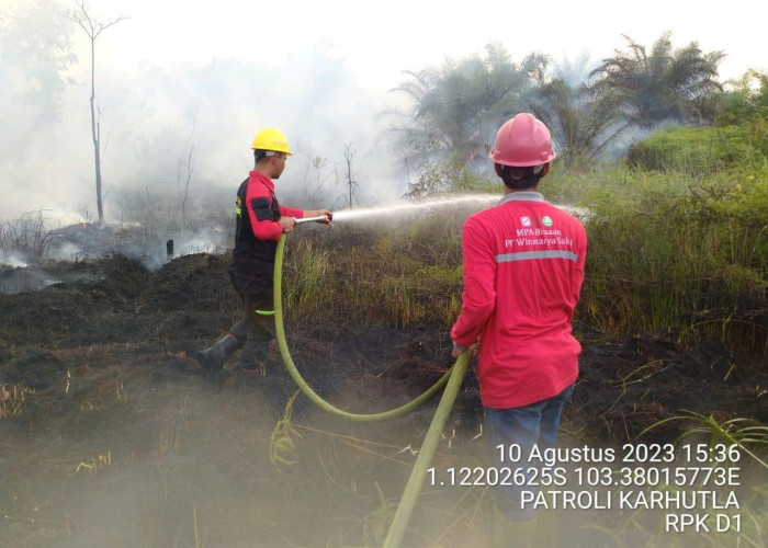 Kabut Asap Mulai Berdampak di Kalimantan, Begini Kondisi Terkini Kualitas Udara di Provinsi Jambi