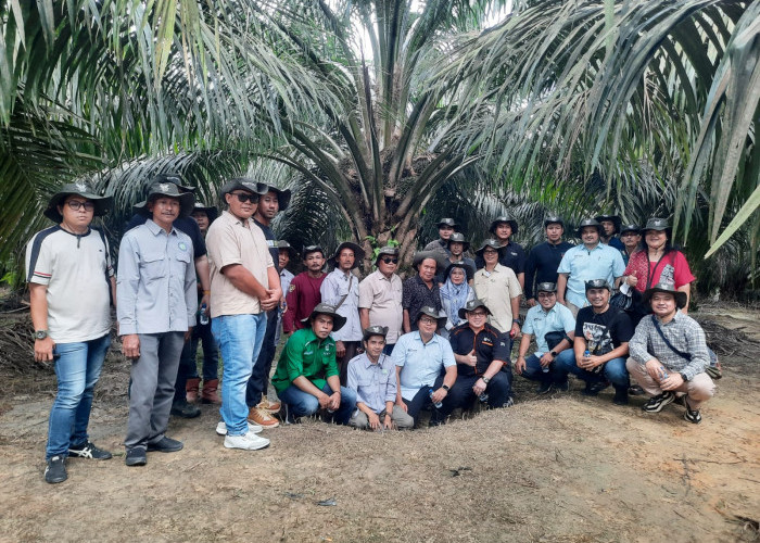Media Field Visit Asian Agri: Menyaksikan Langsung Kesuksesan Mitra Petani Sawit di Merlung