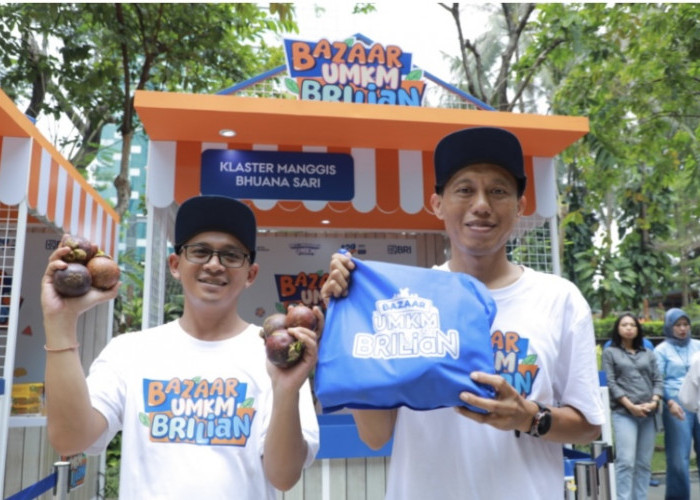 Program Pemberdayaan BRI dorong Klaster Usaha Manggis di Bali Perluas Jaringan Pemasaran