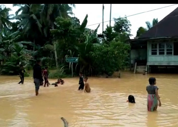 Hujan Deras Guyur Sarolangun, 83 Rumah Terendam Banjir