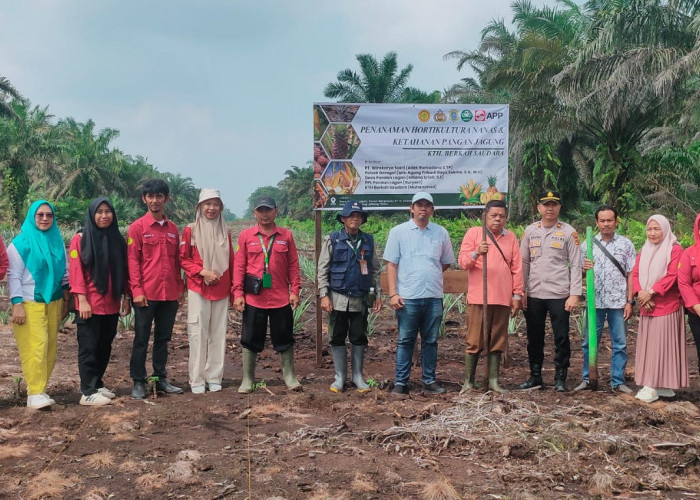 Dukung Ketahanan Pangan, PT WKS dan Polsek Geragai Tanam Jagung Bersama KTH Berkah Saudara