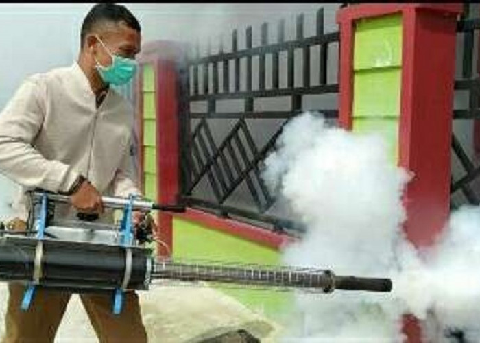 Kasus DBD di Sungai Penuh Meningkat, 88 Warga Terjangkit hingga Juli 2026