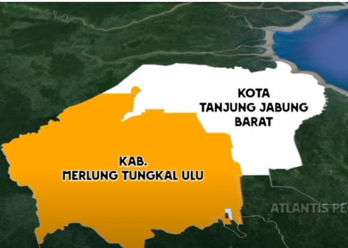 Profil Kabupaten Merlung Tungkal Ulu, Calon Kabupaten Baru Pemekaran dari Tanjabbar