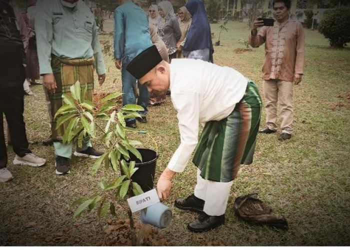 Bupati Dedy Putra Pimpin Penanaman Pohon dalam Rangka HUT Kabupaten Bungo ke-61