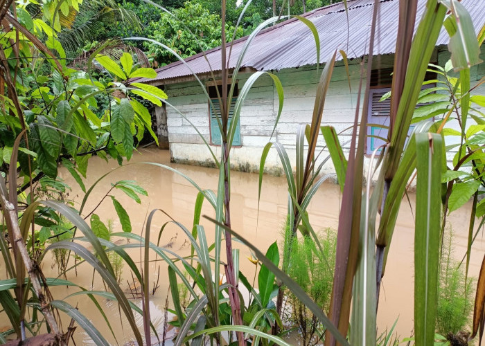 500 Rumah di Kota Jambi Terendam Banjir, Minta Normalisasi Aliran Sungai 