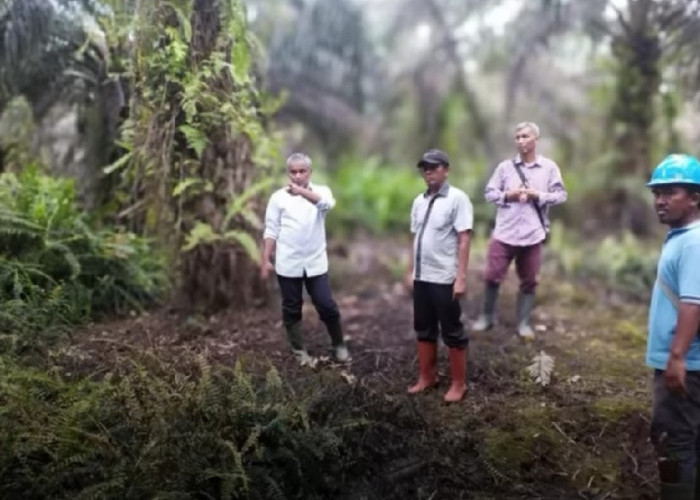 Dorong Kinerja Kebun, Region Head Regional 4 Jambi kembali ke Kebun Lagan