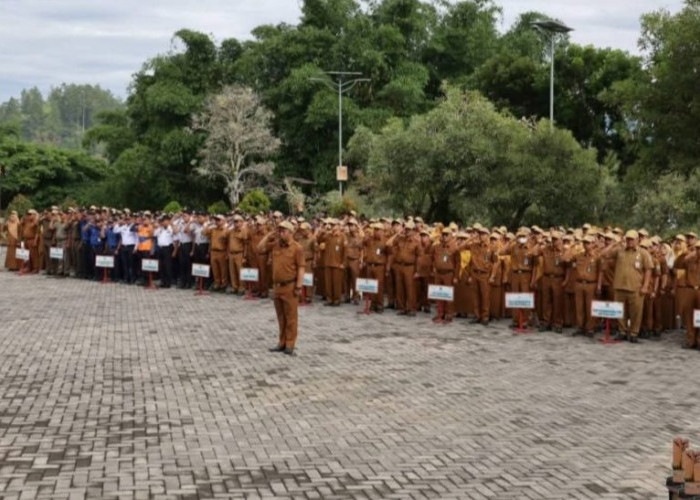 Perampingan OPD, 384 ASN Dirotasi Tugas