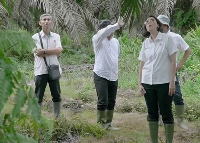 Direktur Keuangan PTPN IV PalmCo Tinjau Kesiapan Produksi Akhir Tahun di Kebun Lagan