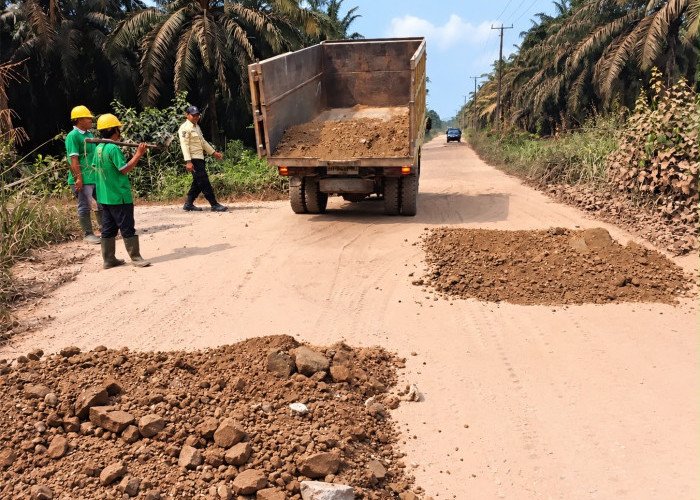 Jaga Akses Masyarakat,PT Batanghari Sawit Sejahtera Rawat dan Timbun Jalan di Dua Desa di Muaro Jambi